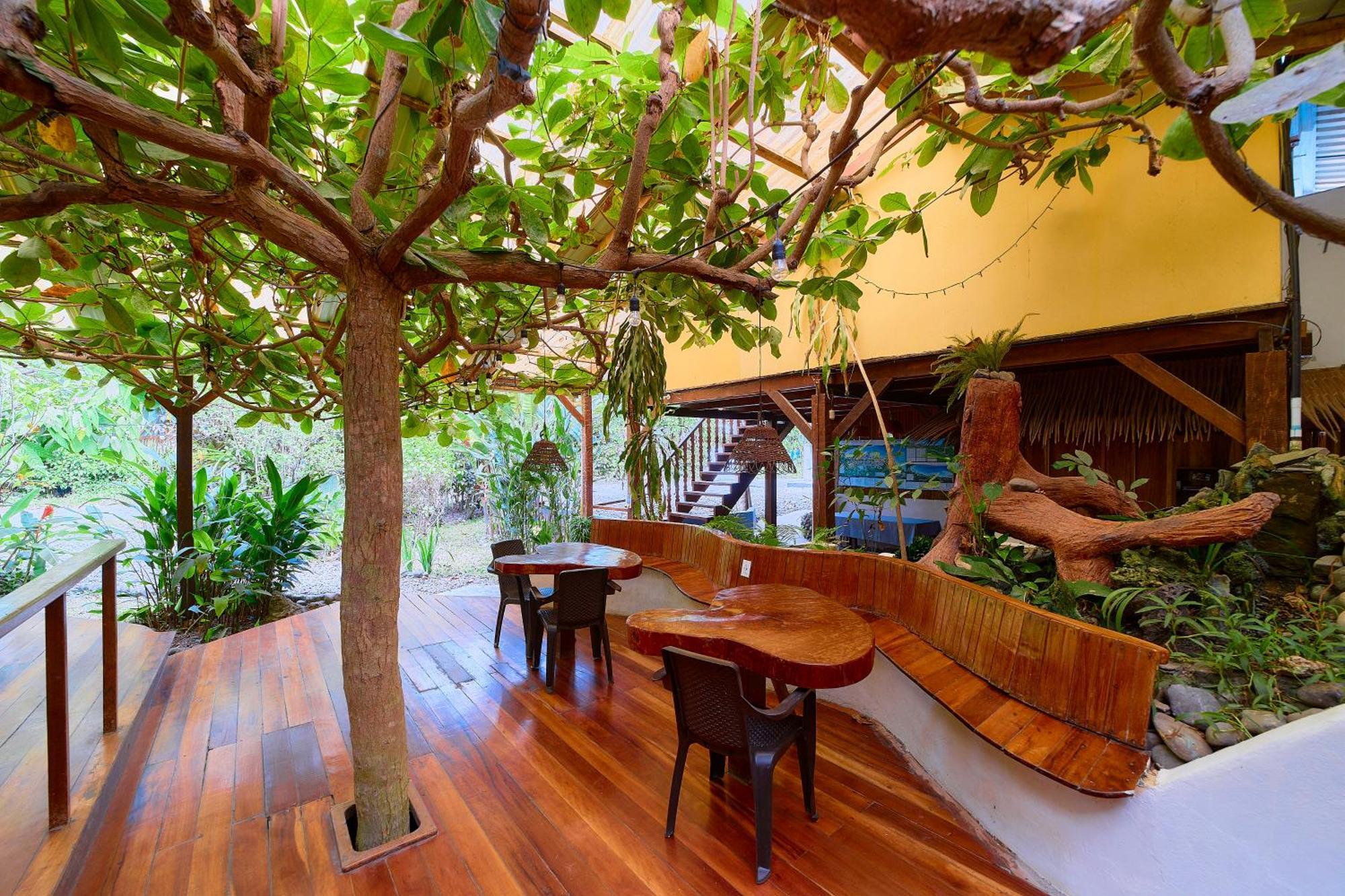 Cabinas Montesol Puerto Viejo de Talamanca エクステリア 写真