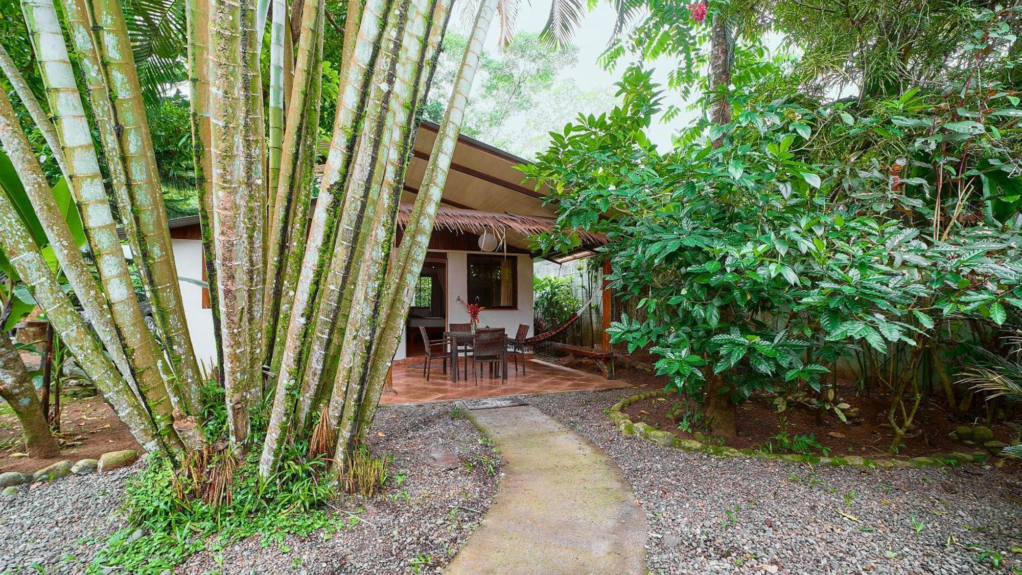 Cabinas Montesol Puerto Viejo de Talamanca エクステリア 写真