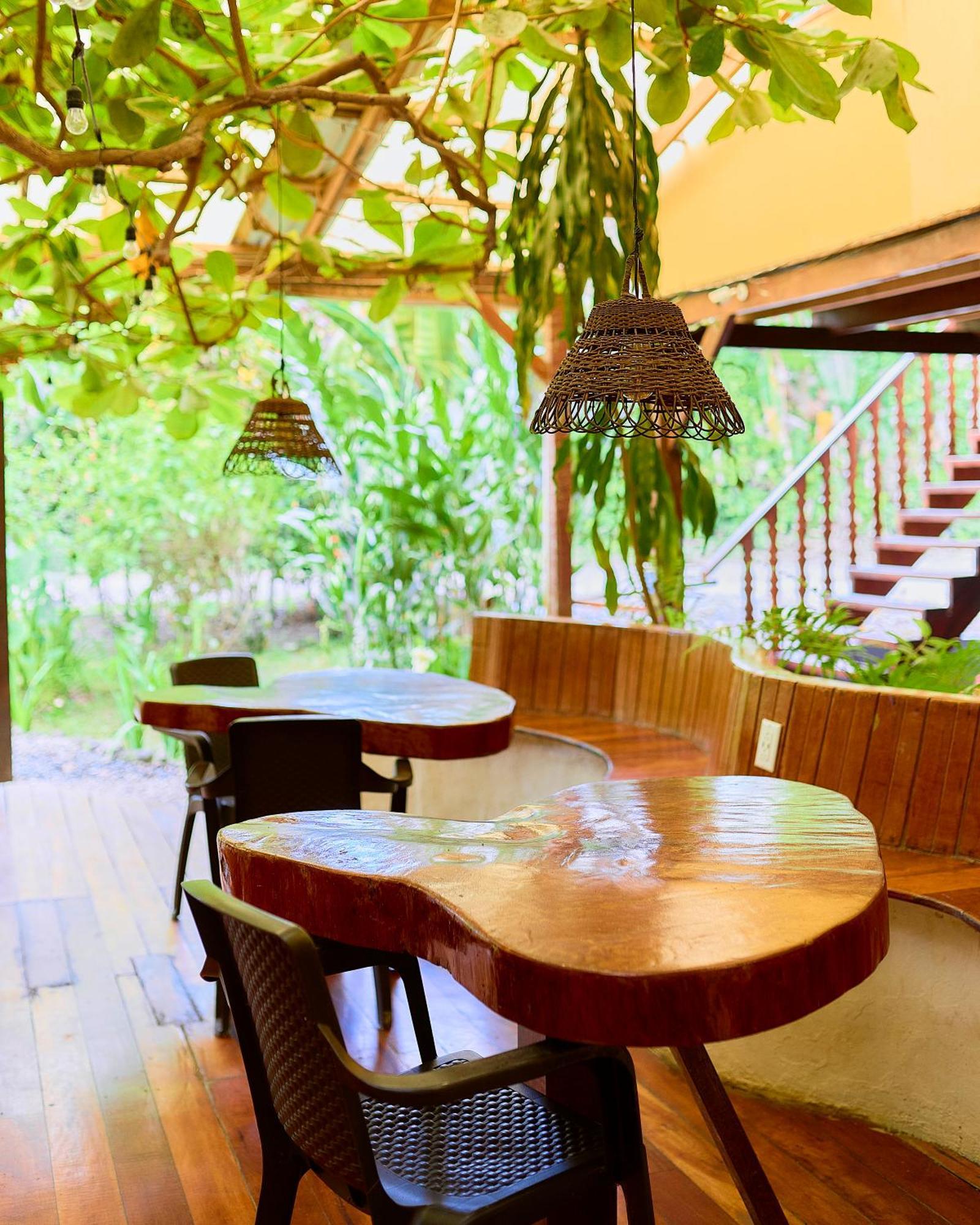 Cabinas Montesol Puerto Viejo de Talamanca エクステリア 写真