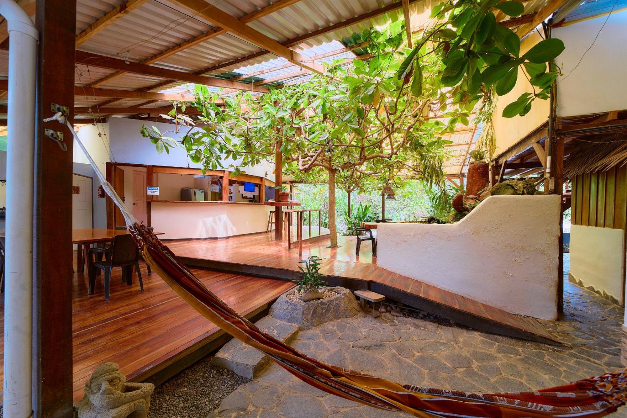 Cabinas Montesol Puerto Viejo de Talamanca エクステリア 写真